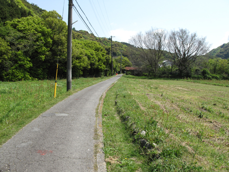 20140426hike (12)